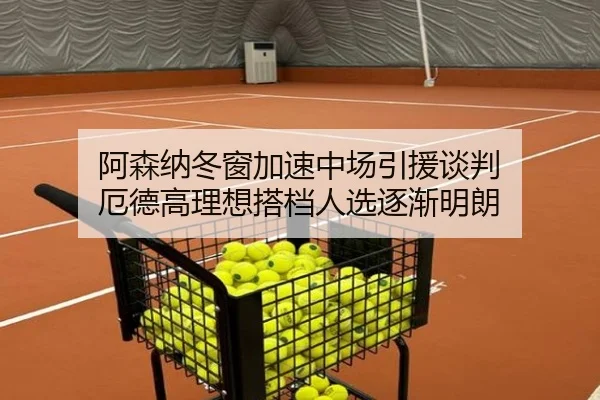 阿森纳冬窗加速中场引援谈判 厄德高理想搭档人选逐渐明朗